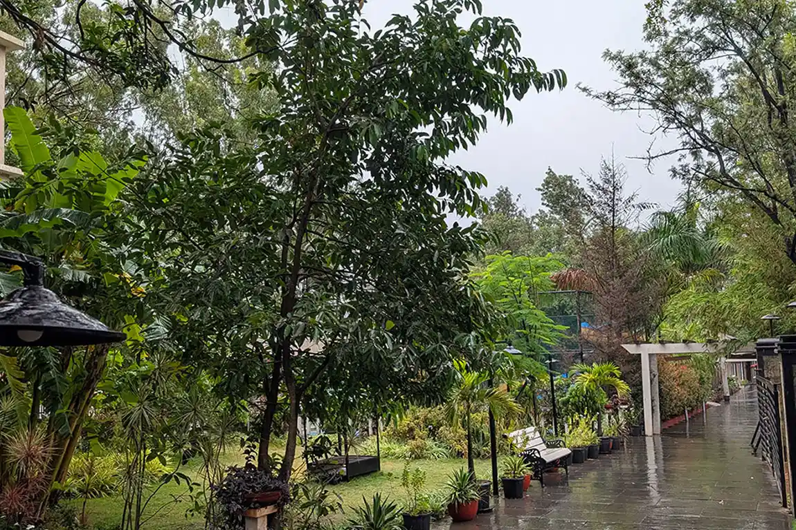 Monsoon Stay in Panchgani: Travel Tips and Resort Experience