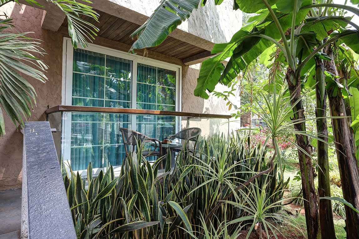 Panchgani in March: Winter Farewell, Summer Hello